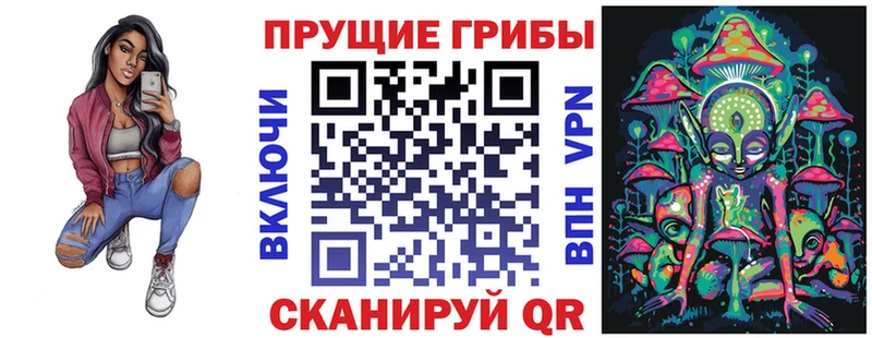 shop телеграм ОМГ ОМГ Куровское Псилоцибиновые грибы ЛСД