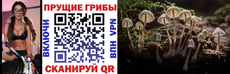 Галлюциногенные грибы мухоморы Куровское